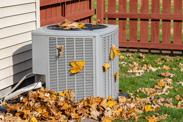 Best HVAC air duct cleaning  in Tamiami, FL